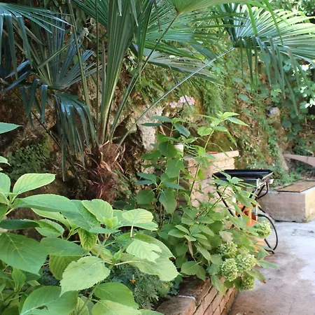 Rezine Appartamento *