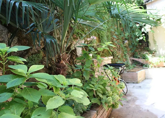 Rezine Апартаменты *